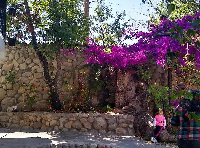 Lodge Casa De Mama Valle -