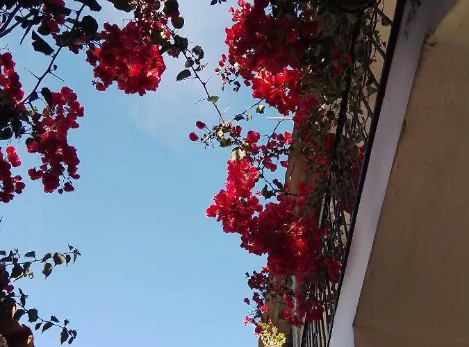 Casa De Mama Valle - *