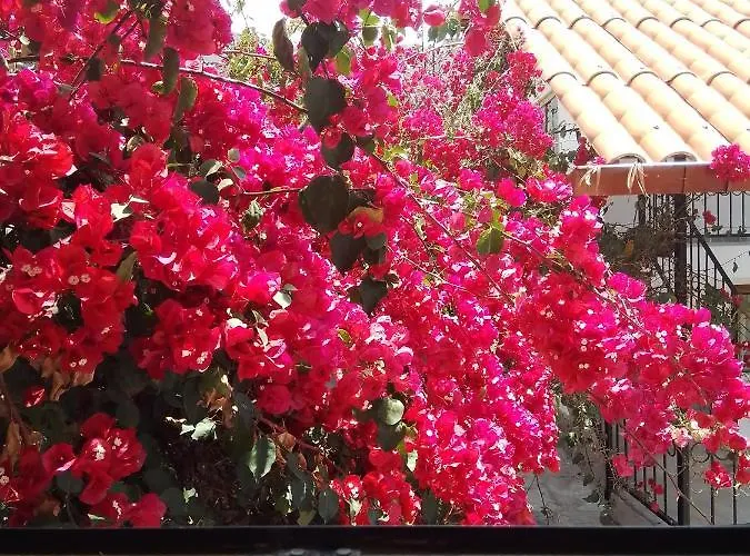 Casa De Mama Valle - Lodge Urubamba