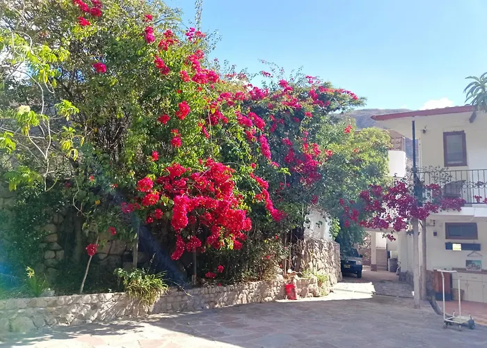 Casa De Mama Valle - *