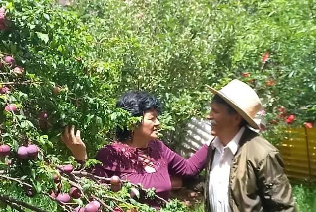 Casa De Mama Valle - *